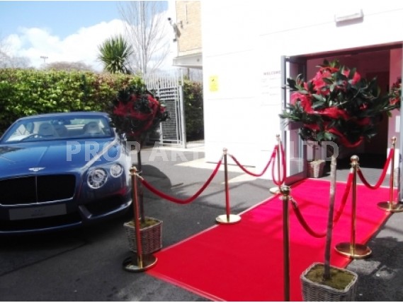 VIP treatment